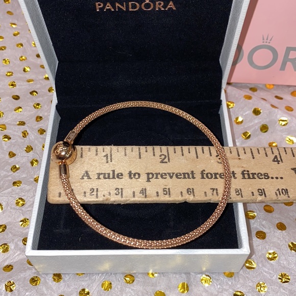 Pandora Charm  Bracelet - Picture 4 of 9